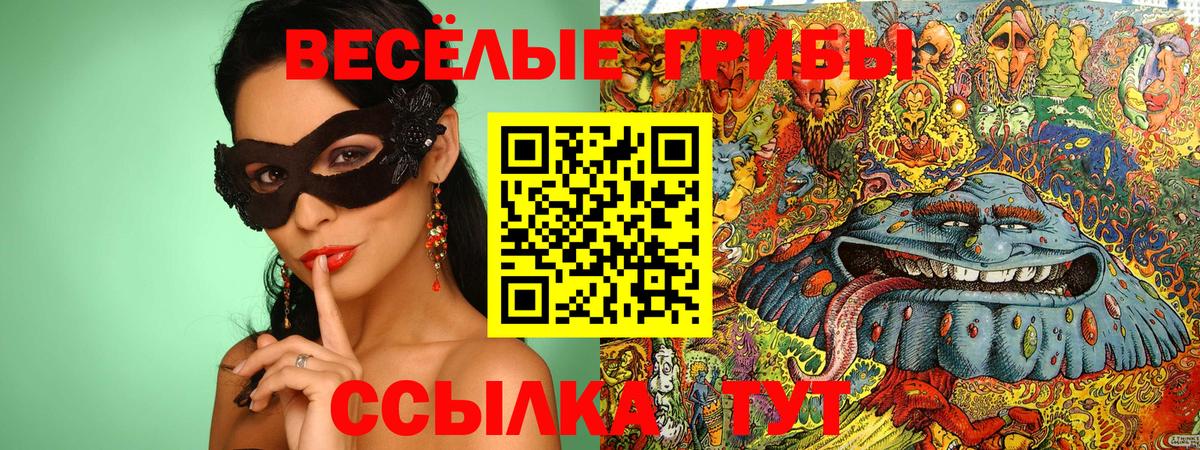 Галлюциногенные грибы Psilocybine cubensis  Вход с VPN  Киселёвск 
