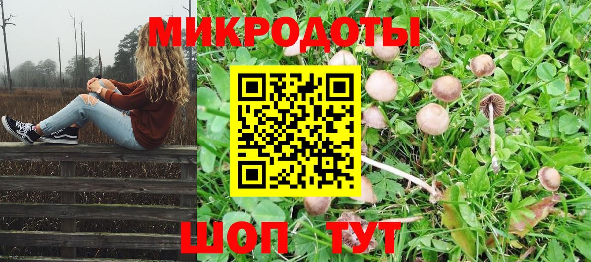 Галлюциногенные грибы мухоморы Киселёвск